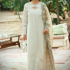 Laserkari by Alzohaib AZLK-D8