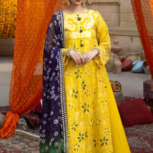 Bandhani by Alzohaib AZBD2-D4